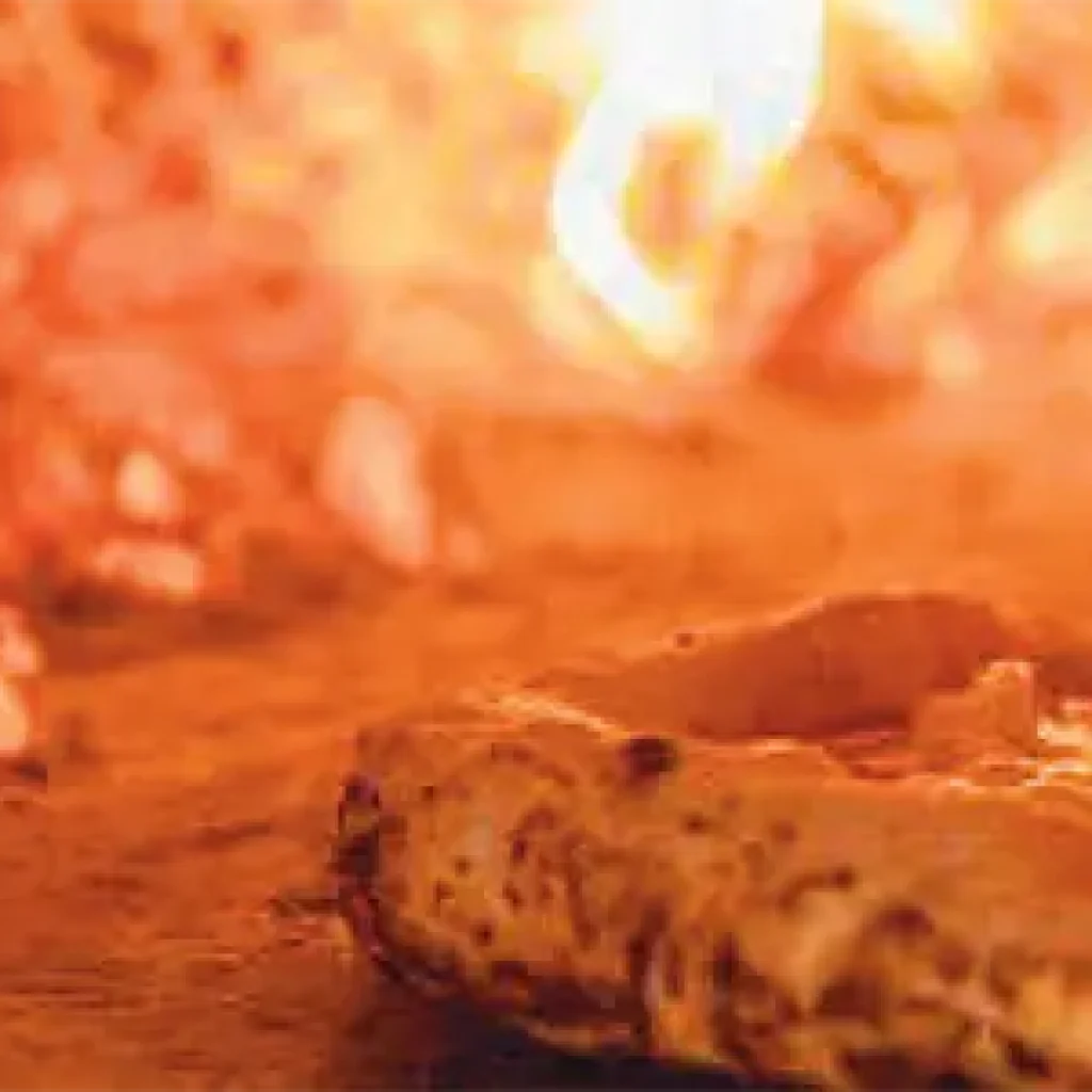 pizzeria argento