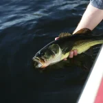 pesca lago di bolsena